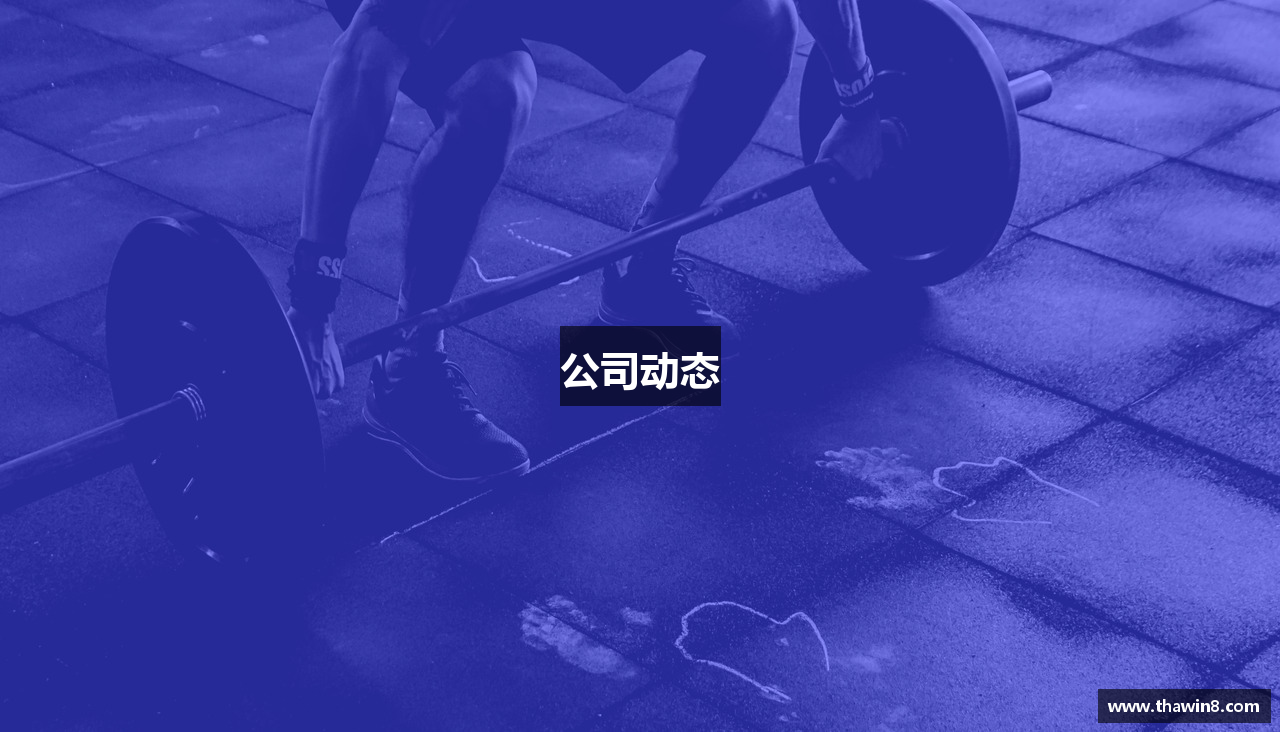 公司动态