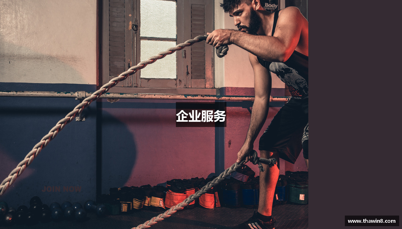 企业服务